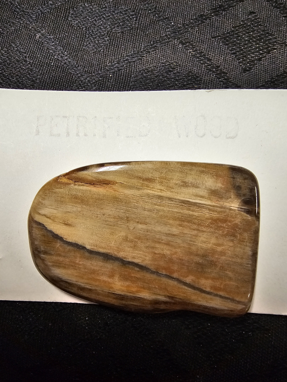 Polished Petrified Wood Brooch